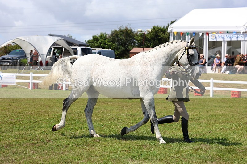 3E7A1207 - Class 8: Open Riding Horse/Hack