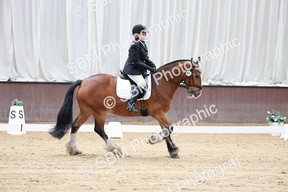 SBM_008096 - Class 6b - Novice 6 - 9.28-10.41