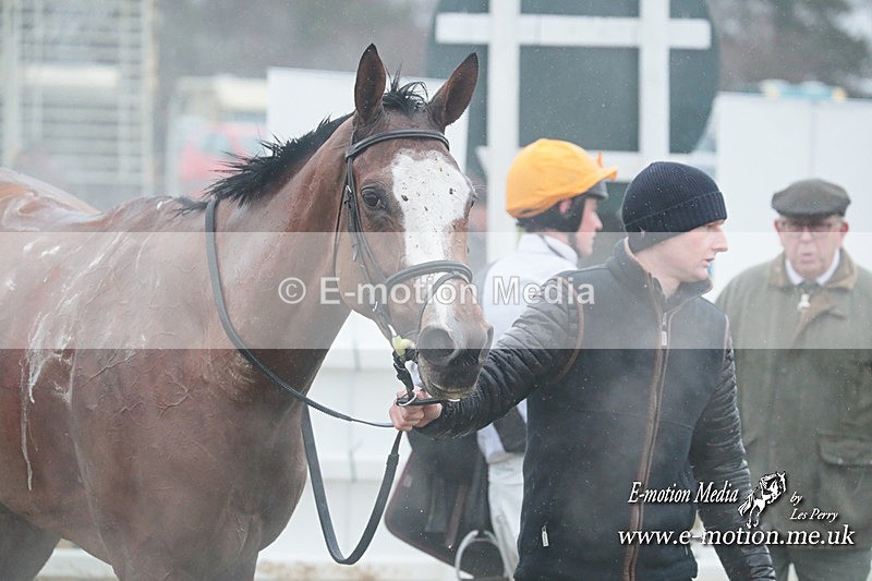 PtP 101223 547 - New Forest Hounds PtP Larkhill 10/12/23
