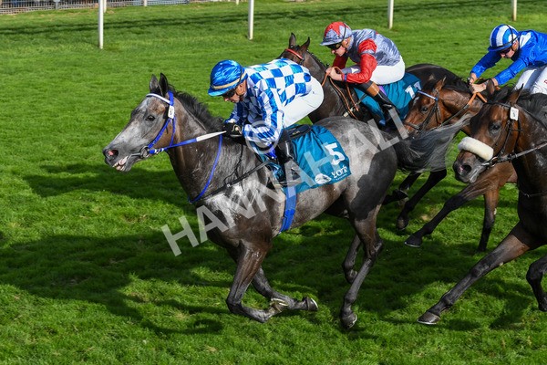 250823-Race 7-Silver Sword-1237 - Race 7 5.15pm Sky Bet Mile Handicap