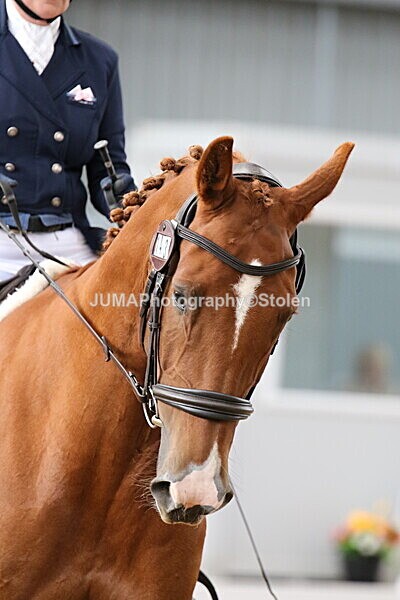 SIAL8900 - GDG Bogenraith Friday 26th Sept 2025