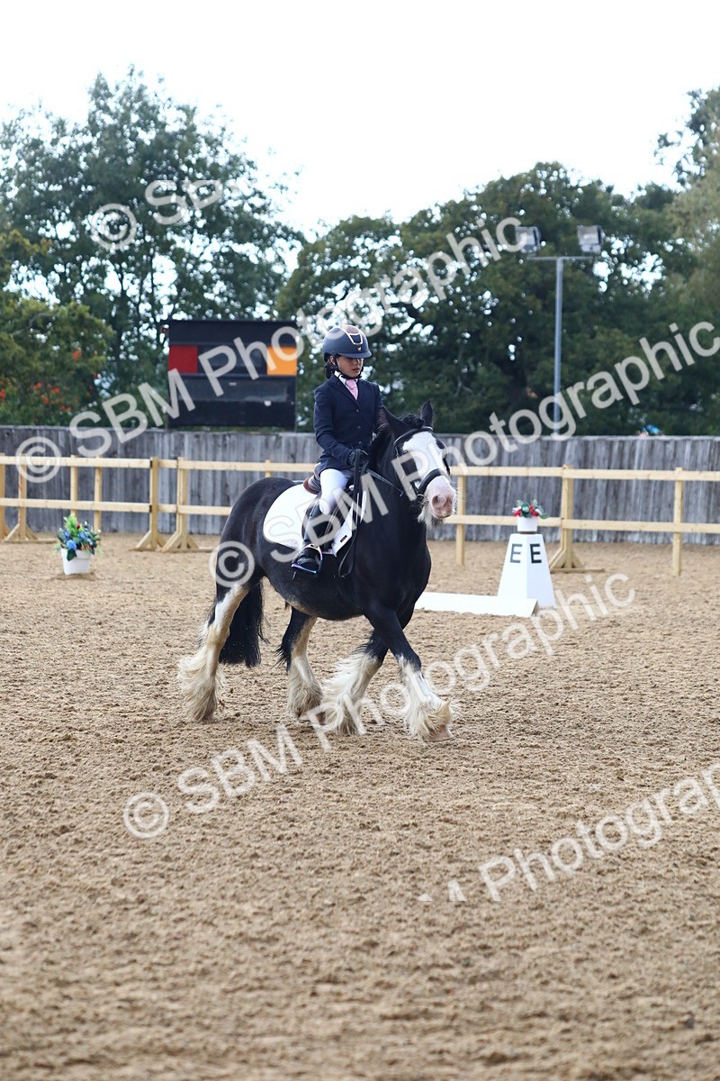 SBM_42593 - D21 - Junior Championship Intro 1