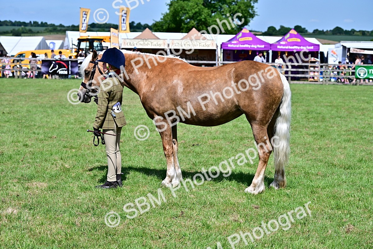 SBM_08077 - Class 61-62 - TSR  M&M Ridden Amateur of the Year