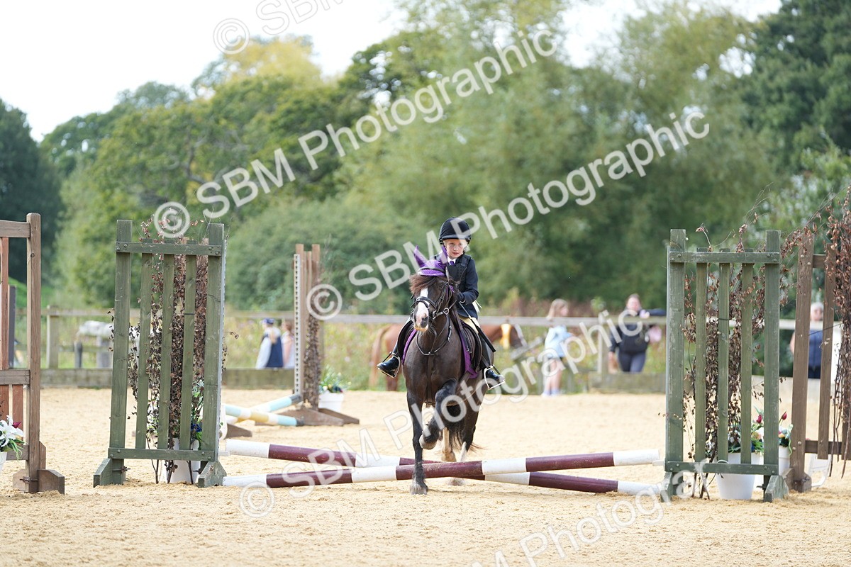 SBM_64479 - J2 - Mini Tour Junior Pony 30cm Championship