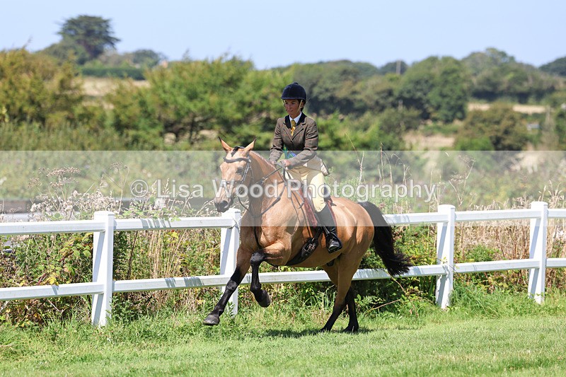 3E7A9218 - Working Hunter Championship