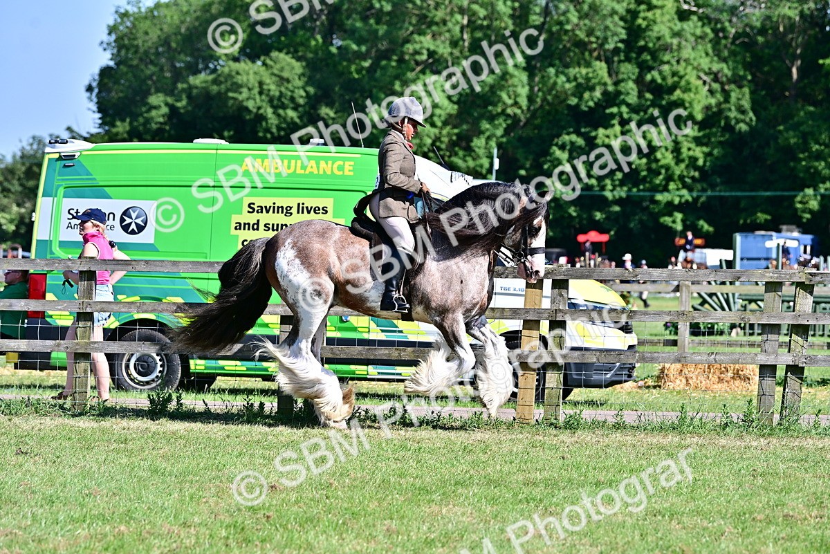 SBM_19469 - Class 101-102 - BSPS LIHS Performance Coloured Horse/Pony
