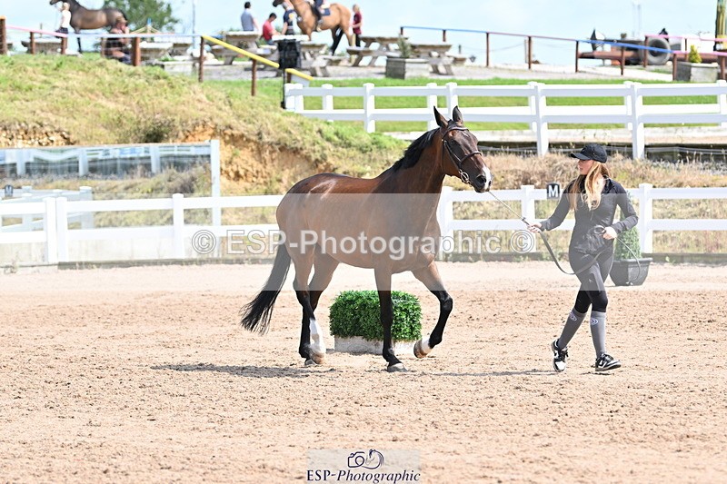 240717A-154110-02977 - Trot Up 3pm to 4pm