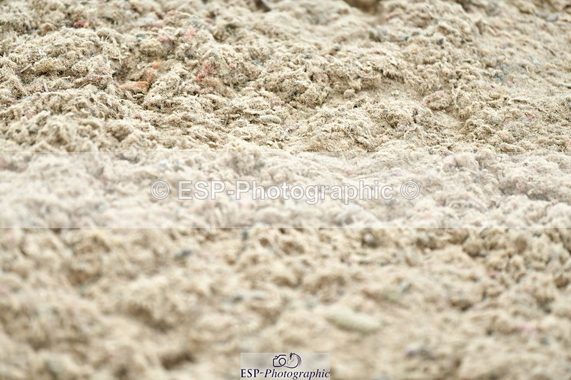 230721A-130714-06456 - Cls 14, 1 Star Bronze 1.10m