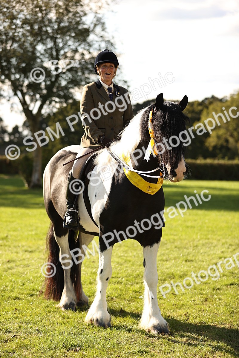 SBM_26471 - S6 - Novice & Newcomers Ridden Horse