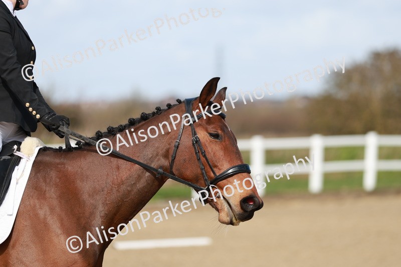 20260314-2781 - DR3 - Prelim 1