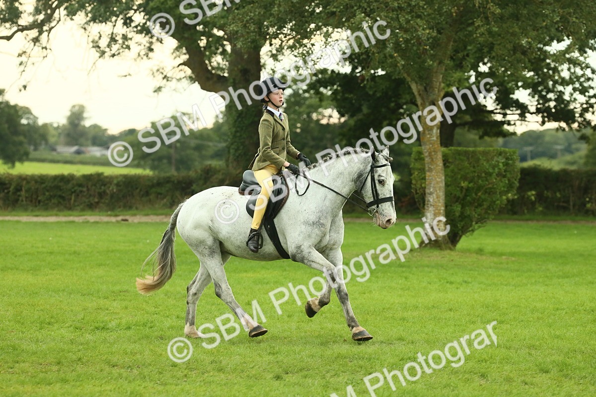 SBM_73941 - S 61 - Show Pony & Show Hunter Pony Ridden