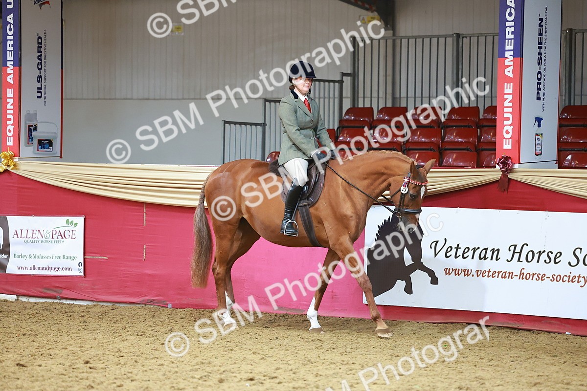 SBM_09575 - Class 102 - HOYS Veteran Qualifier - Ridden Veteran