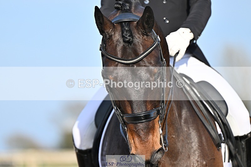 250404-181300-08565 - 159-Darren.Hicks-Tramontana.Tiger.Feet
