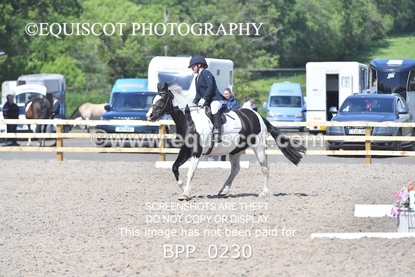 BPP_0230 - SHORT ARENA  MY QUEST PRELIM