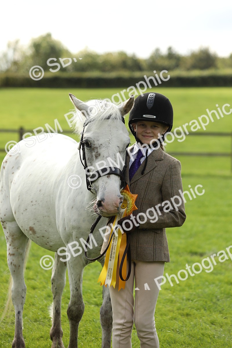 SBM_62878 - S46 - Mountain & Moorland In Hand Small Breeds