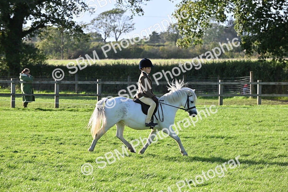 SBM_53029 - S23 - First Ridden Mountain & Moorland Pony