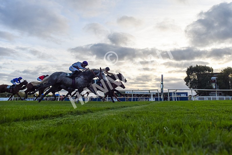 171026-Race 8-Gentle Warrior-9056 - Race 8 5.15pm Go Racing In Yorkshire Future Stars Apprentice Handicap