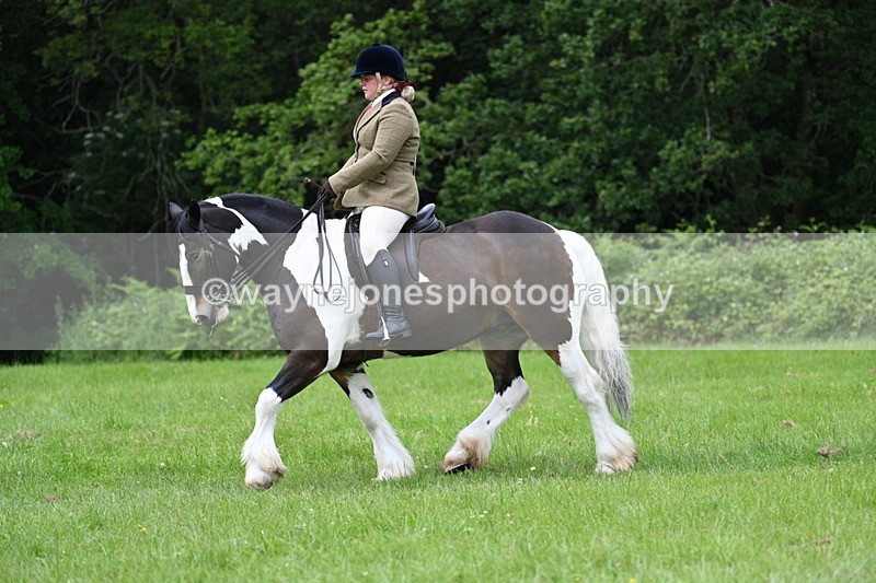 WJ7_2338 - Class 12A Coloured Class