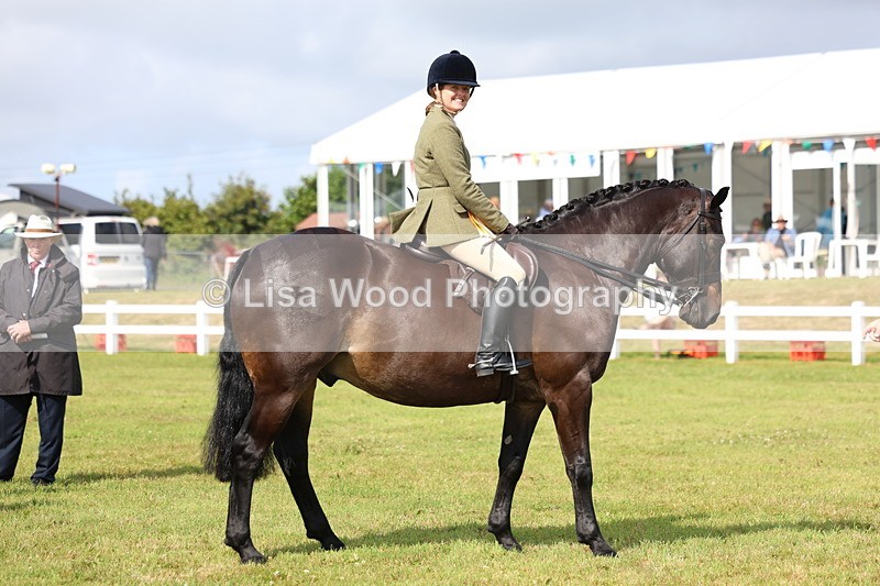 3E7A9190 - Class 3: Rising Star S/L Hunter