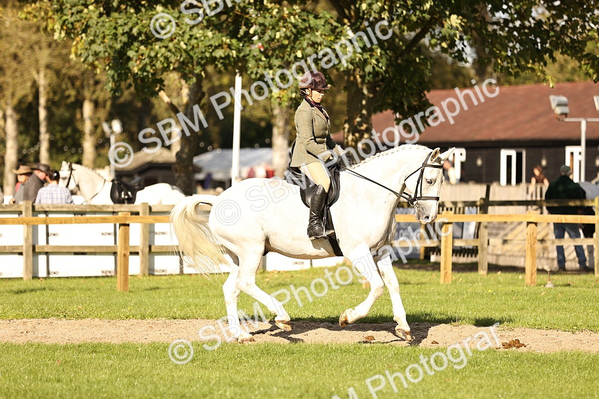 SBM_26417 - S6 - Novice & Newcomers Ridden Horse