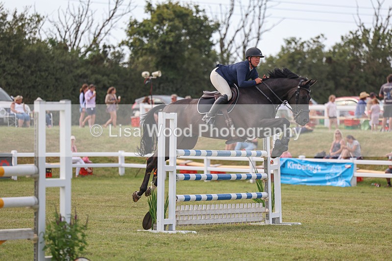 3E7A0844 - Class C: Showjumping Senior Foxhunter
