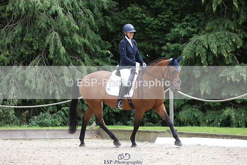 230812-150217-05036 - Cls 5 Novice Bronze 15.00 to End