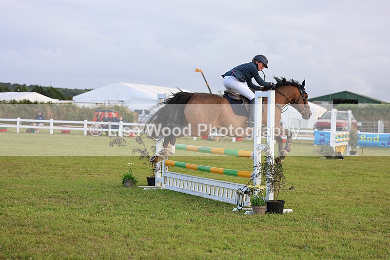 3E7A5060 - Class D: Showjumping Pony Intro 90cm