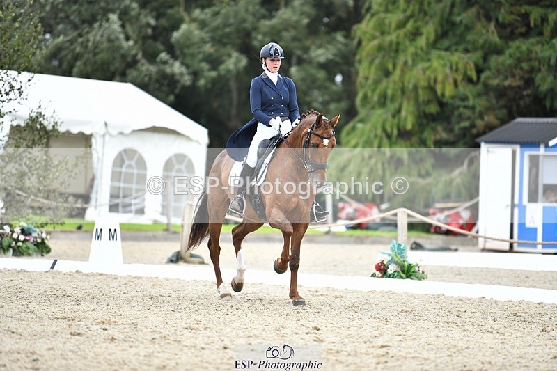 230812-140717-04600 - Cls 7 FEI PSG Bronze