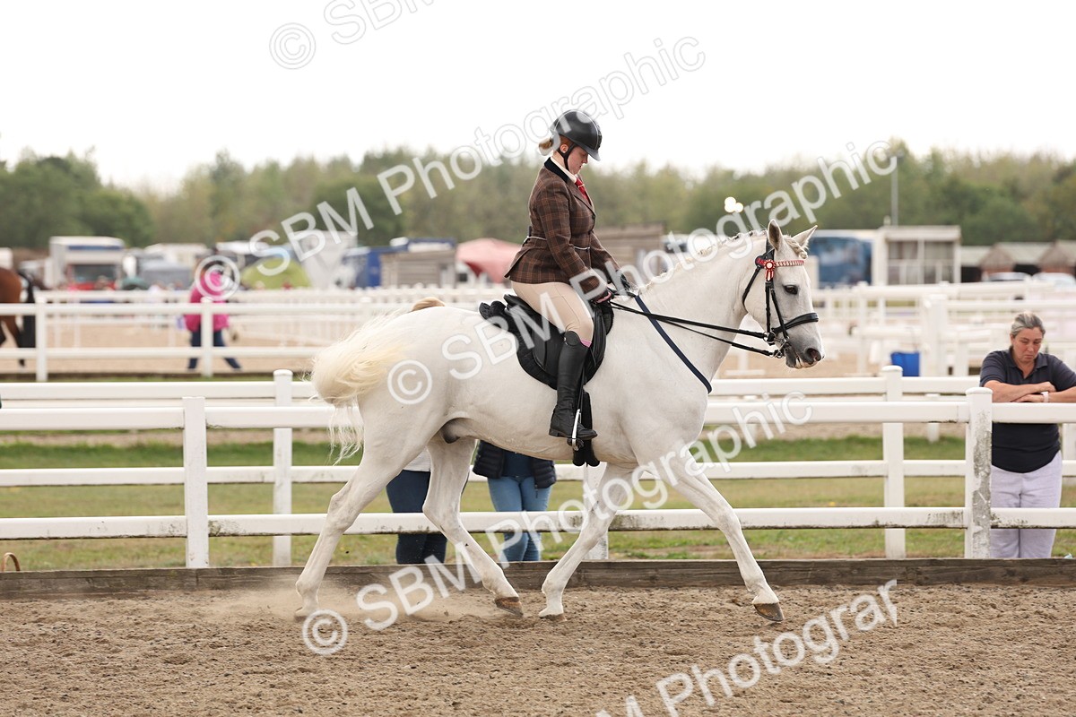 SBM_02930 - Class 53 - Ridden Competition Horse/Pony