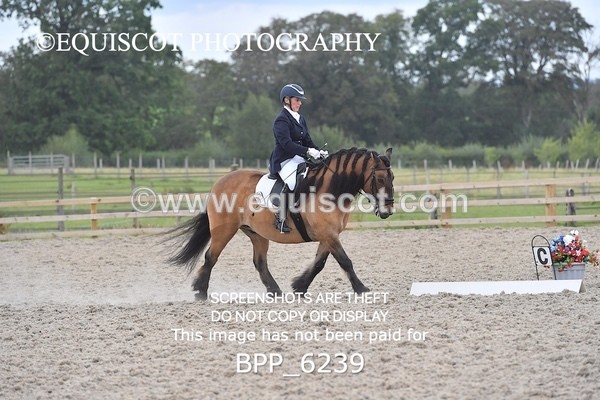 BPP_6239 - ELEMENTARY TEST 4 LONG ARENA