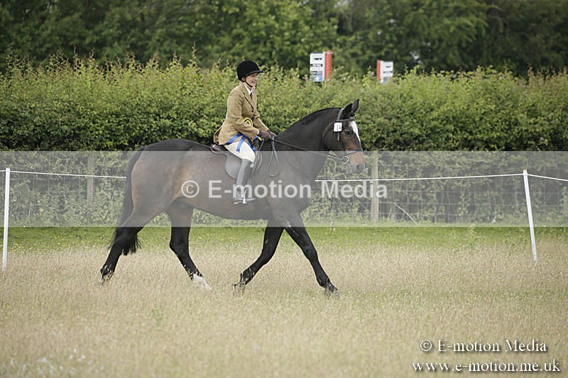B230619-0362 - Bourne Valley Riding Club Summer Show 23/06/19