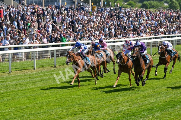 160525-Race 2-Thunder Run-6226 - Race 2 2.42pm Knights Solicitors Handicap