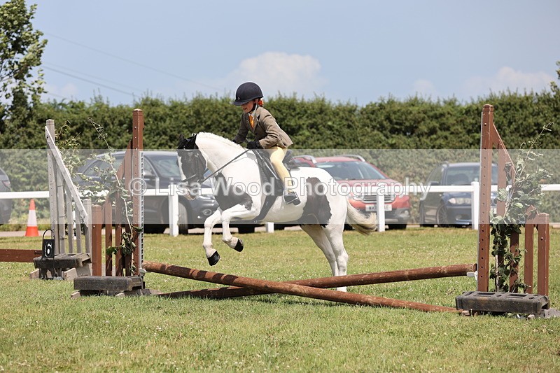 JPP_1800 - Class 18: Tiny Tots Working Hunter Pony