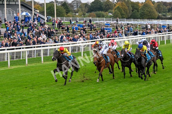 101025-Race 5-Go Vince Go-0393 - Race 5 Parsonage Hotel And Cloisters Spa Nursery Handicap at York
