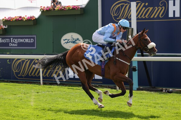 yr08072022r3-17 - Race 3 3.15pm William Hill Play Responsibly Irish EBF Novice Fillies Stakes