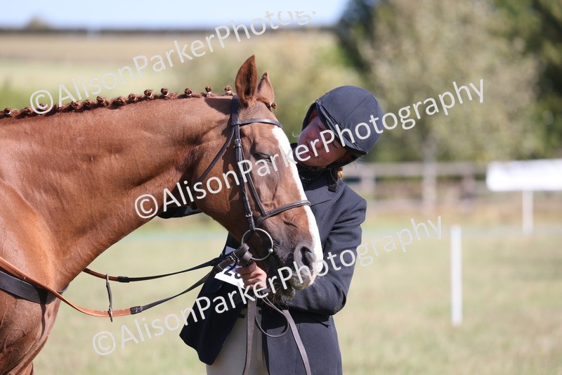 20260906-0700 - Class 22 - Ex Racehorse