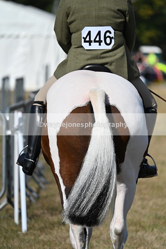WJ7_3095 - Class 8 Ridden Tack & Turnout