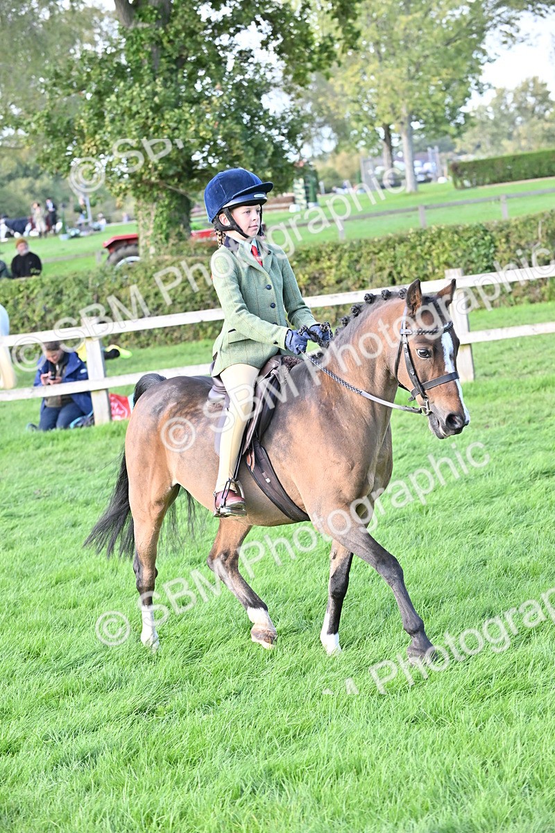 SBM_51242 - S22 - First Ridden show and show Hunter Pony