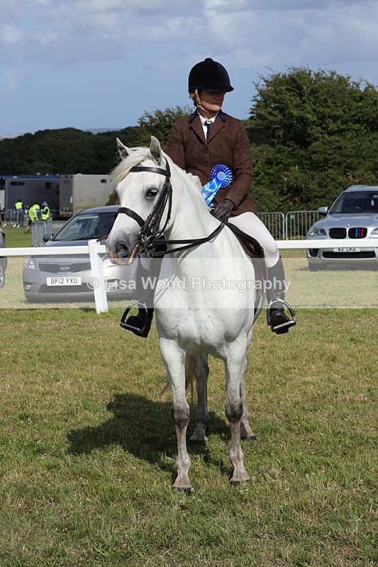 1X9A5939 - Class 41:. NPS New Forest & Connemara