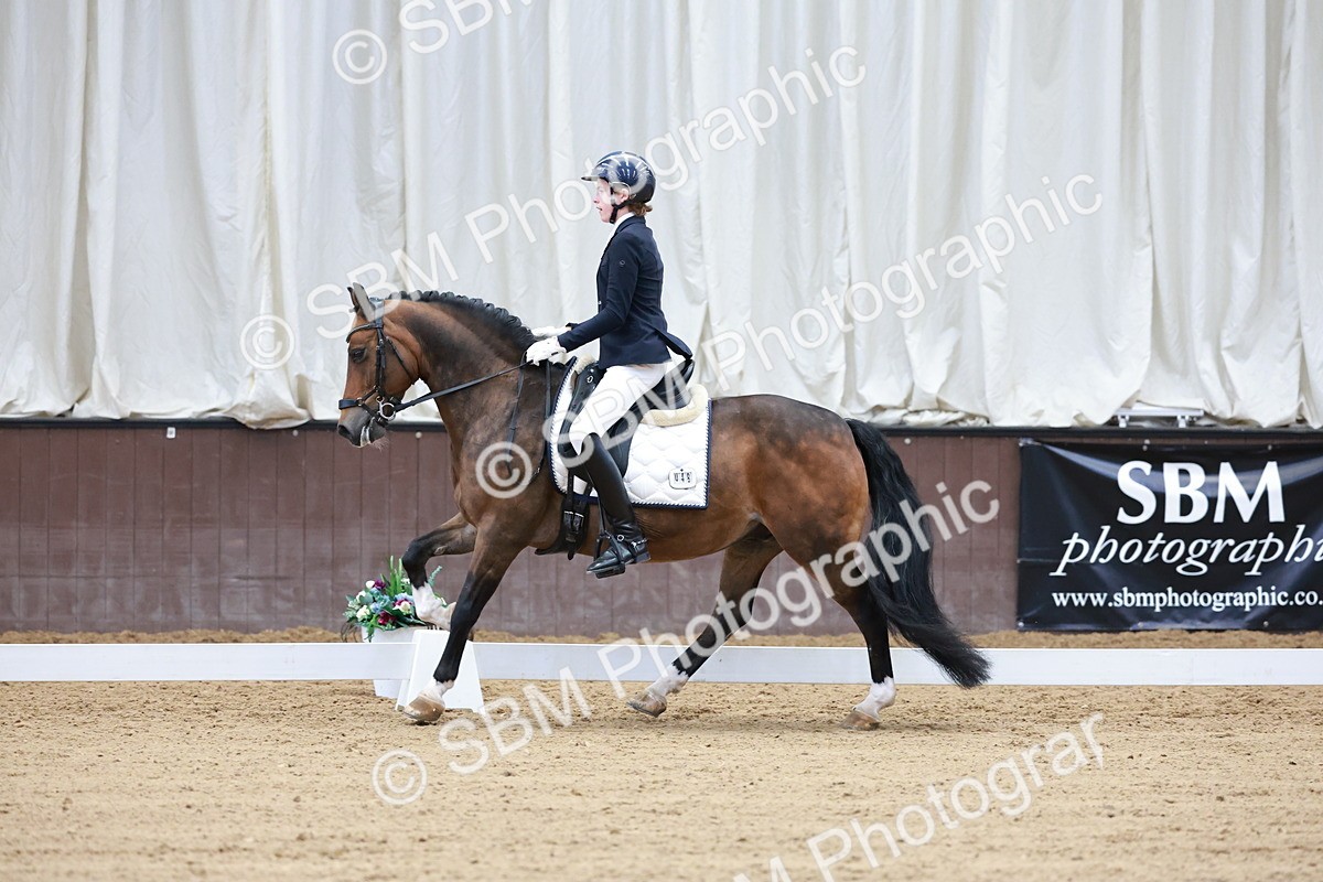SBM_017156 - Class15 - FEI Pony