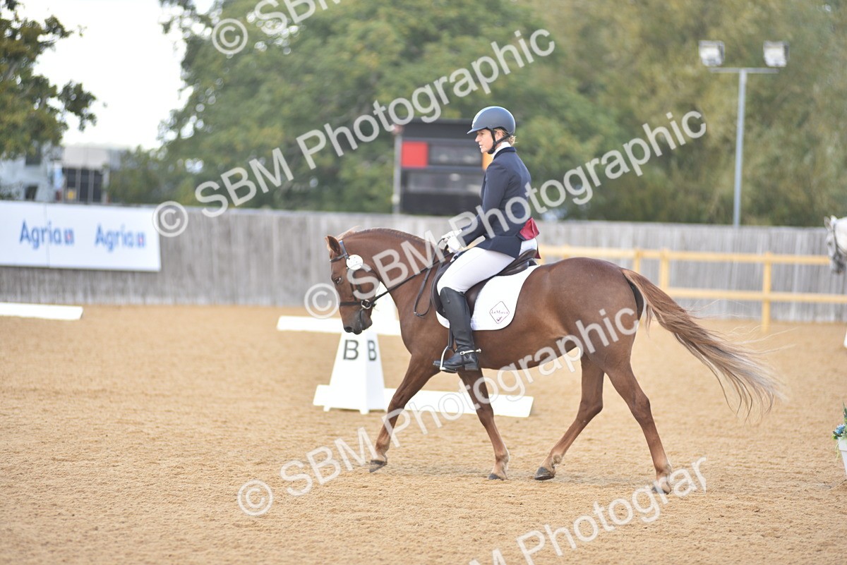 SBM_03043 - D4 - Small Tour Championship Intro 4