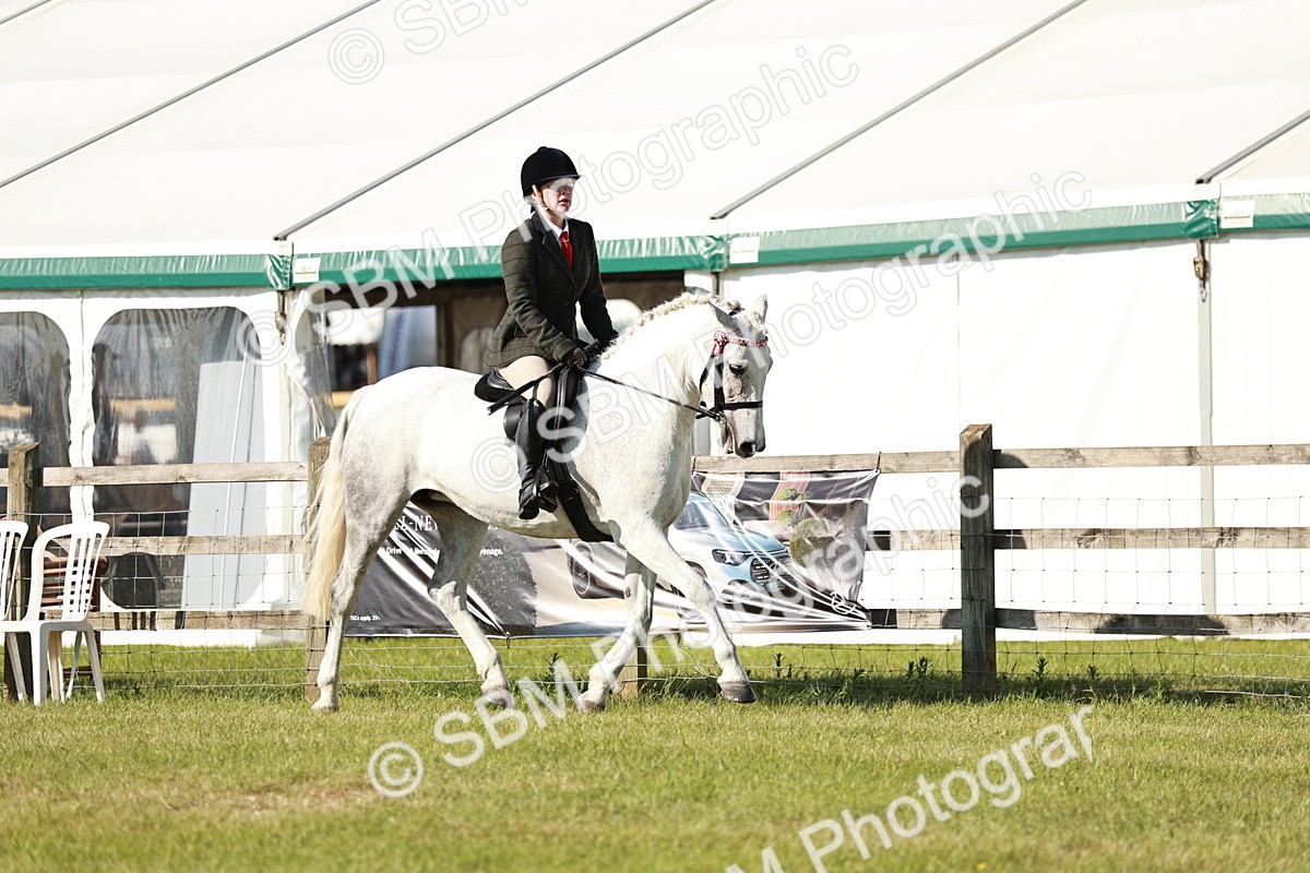 SBM_19220 - Class 115-116 - LIHS BSHA Rising Star Working Hunter & Show Horse