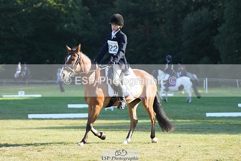 250823A-084014-25353 - Arena B