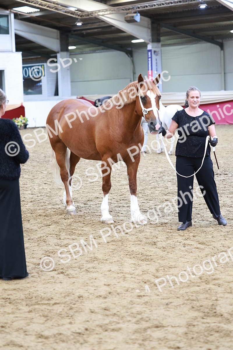 SBM_17361 - Class 951 - M&M IH Supreme Final