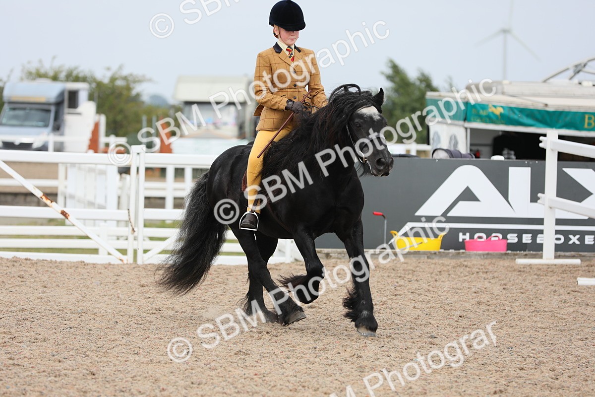 SBM_16941 - Class 314 Family Horse/Pony