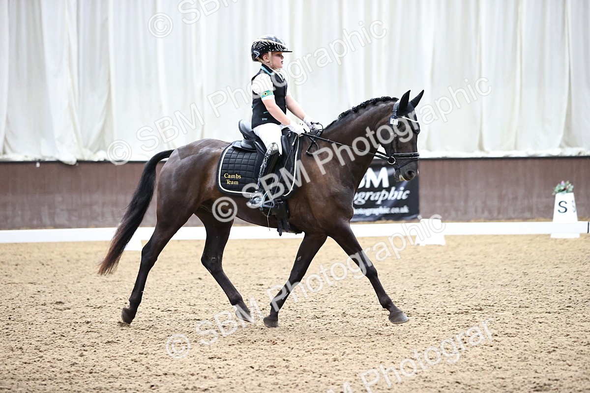 SBM_000803 - Novice 4 Warm Up