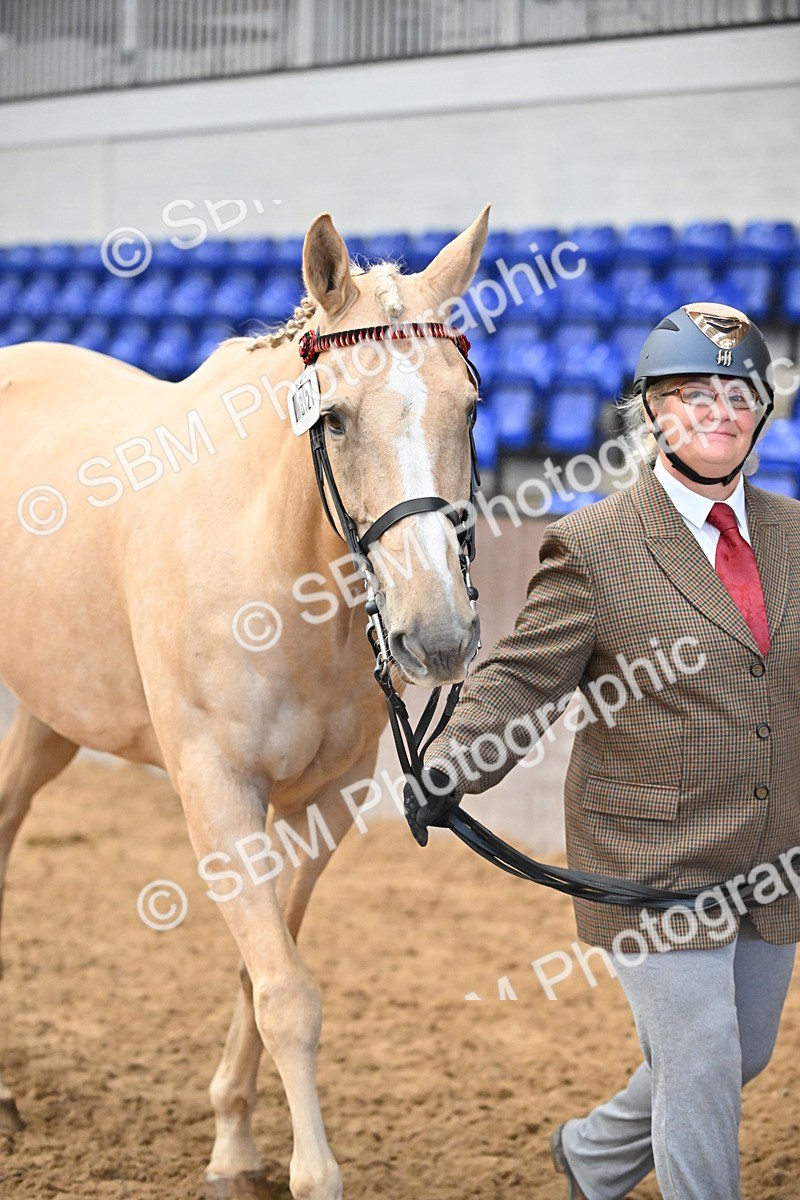 SBM_000652 - Class 11,12,13 - SSADL In Hand Seniors