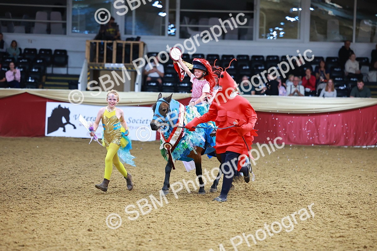 SBM_14766 - Class C - Novelty champ