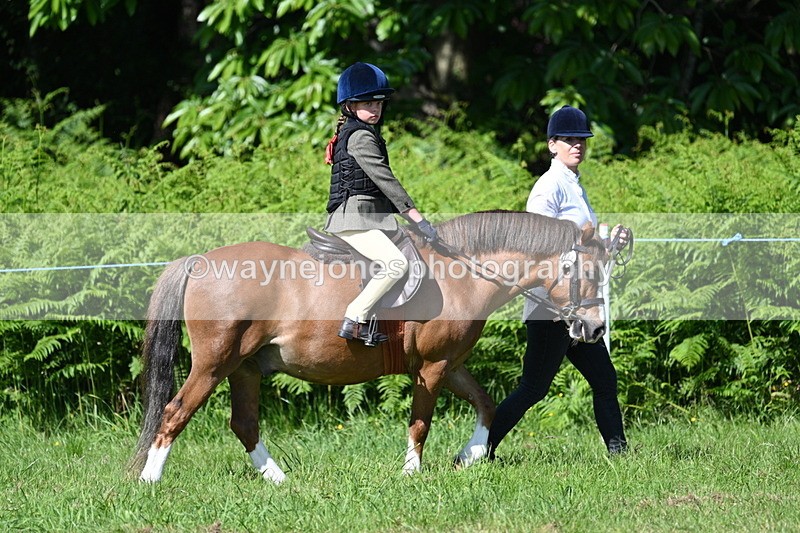 WJ7_0758 - Class 8 First Rally Pony