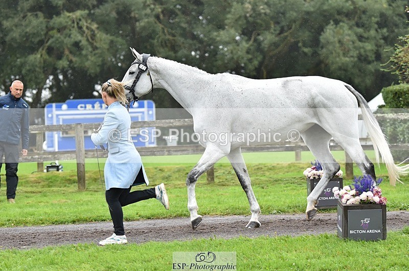 231018-123052-00345 - 042-WKD.COOLEY-Chiara.Grimaldi-TrotUp